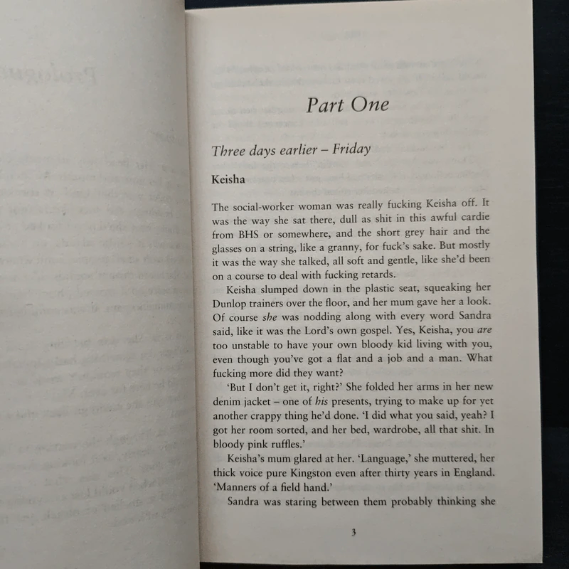 The Fall - Claire McGowan รูปที่ 7