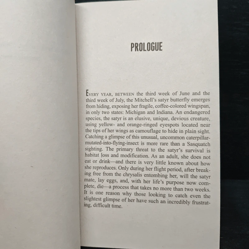Where Monsters Hide - M. William Phelps รูปที่ 7