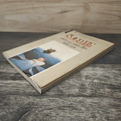 สิทธารถะ - เฮอร์มานน์ เฮสเส, สดใส รูปที่ 3