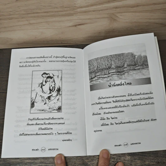 สนเฒ่าแสดงธรรม รูปที่ 8