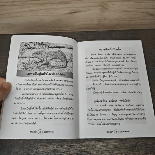 สนเฒ่าแสดงธรรม รูปที่ 7