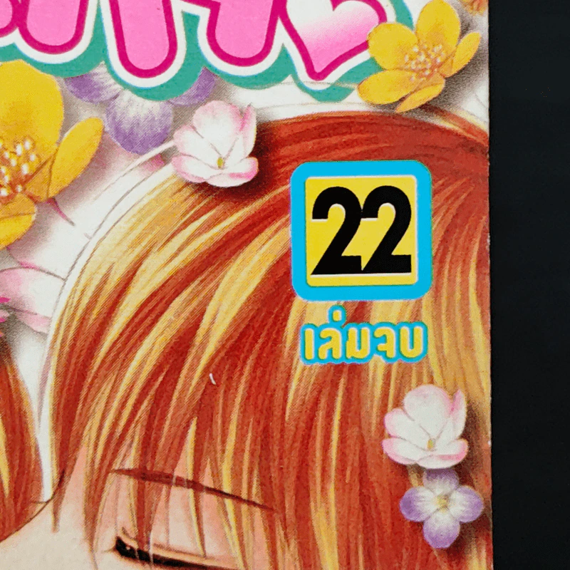 รักนี้หวานบาดใจ 22 เล่มจบ - Nagamu Nanaji รูปที่ 5