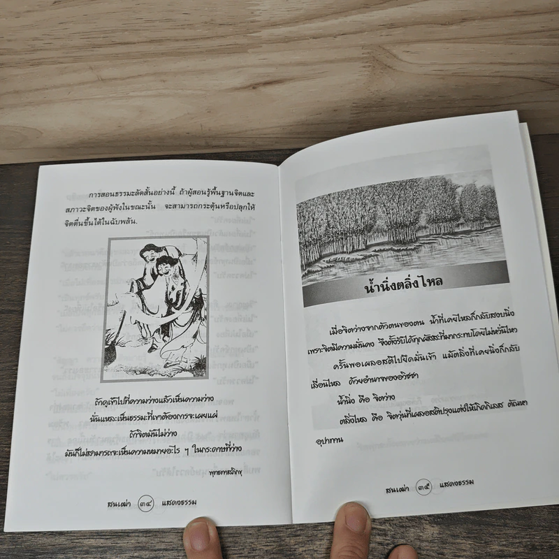 สนเฒ่าแสดงธรรม รูปที่ 8