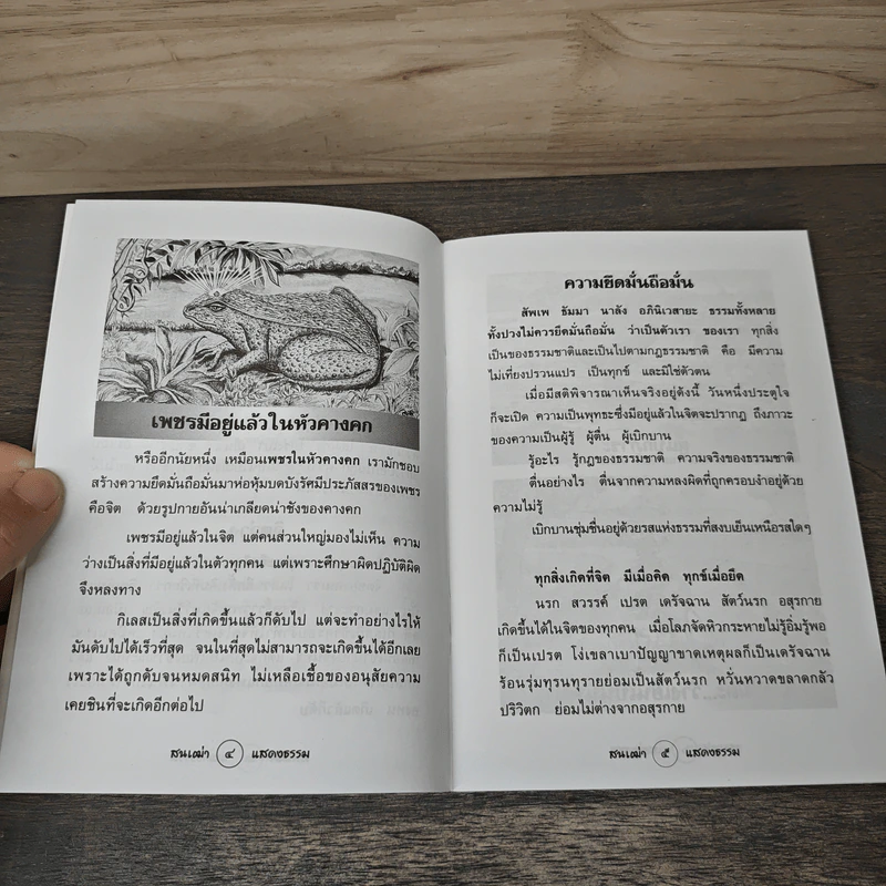 สนเฒ่าแสดงธรรม รูปที่ 7