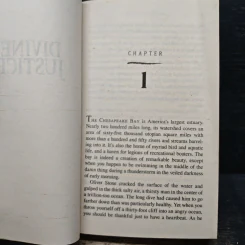Divine Justice - David Baldacci รูปที่ 7