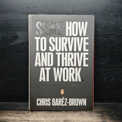 Shine How to Survive and Thrive at Work - Chris Baréz-Brown รูปที่ 1