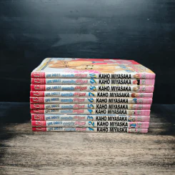 Love Endless องศารักเกินร้อย 10 เล่มจบ - Kaho Miyasaka (คาโฮะ มิยาซากะ) รูปที่ 2