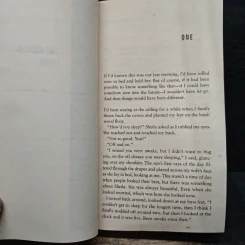 The Accident - Linwood Barclay รูปที่ 7