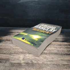 The Accident - Linwood Barclay รูปที่ 4