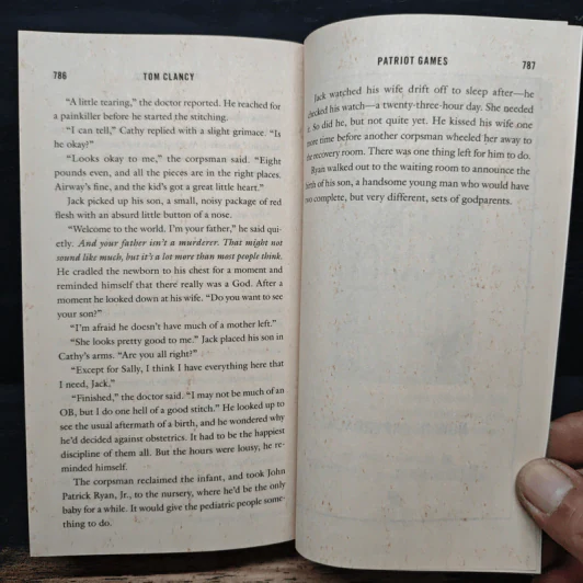 Patriot Games - Tom Clancy รูปที่ 7