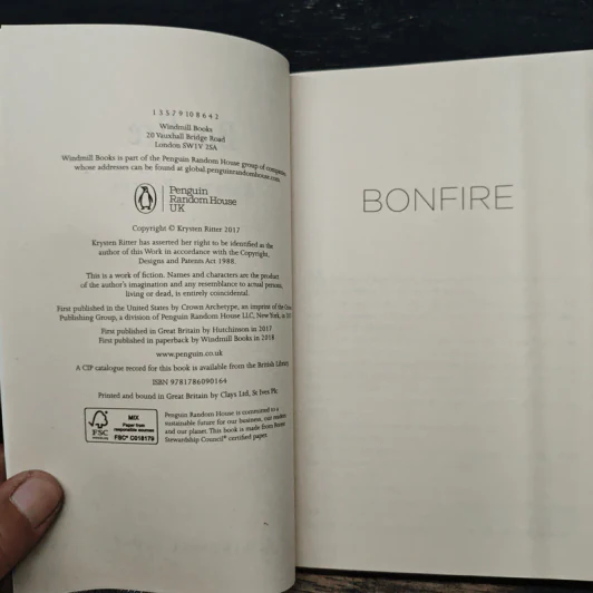 Bonfire - Krysten Ritter รูปที่ 6