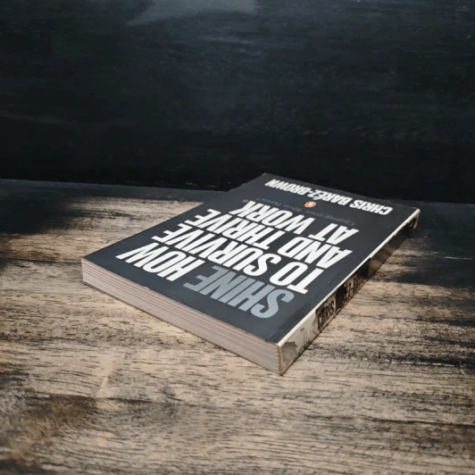 Shine How to Survive and Thrive at Work - Chris Baréz-Brown รูปที่ 5