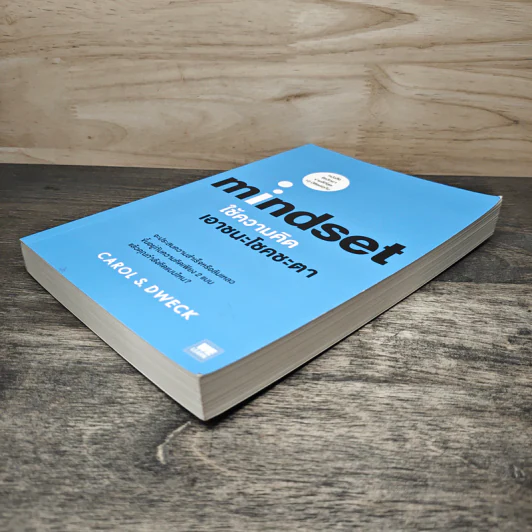 Mindset ใช้ความคิดเอาชนะโชคชะตา - Carol S.Dweck รูปที่ 3