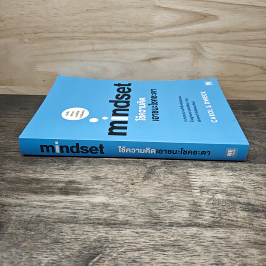Mindset ใช้ความคิดเอาชนะโชคชะตา - Carol S.Dweck รูปที่ 2