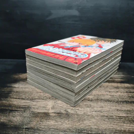 มิโดริจังกับเจ้าชายทั้งสิบเอ็ด เล่ม 1-8 รูปที่ 3