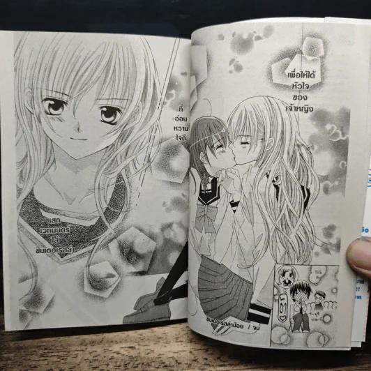มิโดริจังกับเจ้าชายทั้งสิบเอ็ด เล่ม 1-8 รูปที่ 8