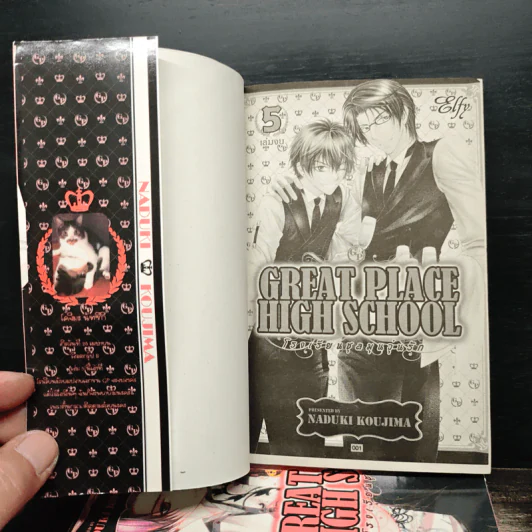 Great Place High School โรงเรียนชุลมุนวุ่นรัก 5 เล่มจบ รูปที่ 5