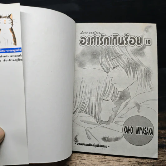 Love Endless องศารักเกินร้อย 10 เล่มจบ - Kaho Miyasaka (คาโฮะ มิยาซากะ) รูปที่ 6