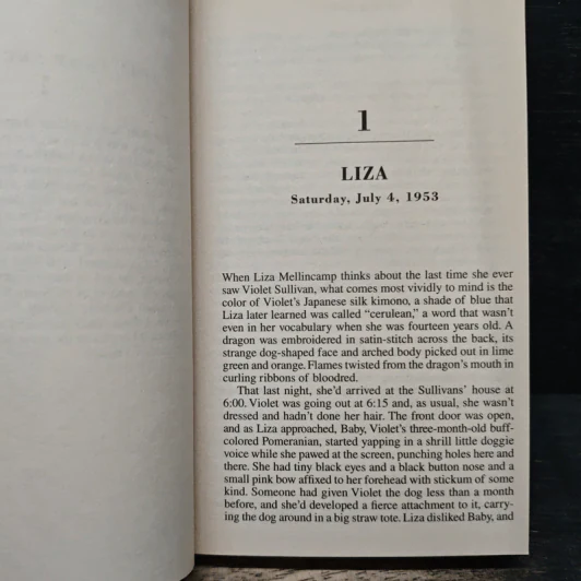 S is for Silence - Sue Grafton รูปที่ 7