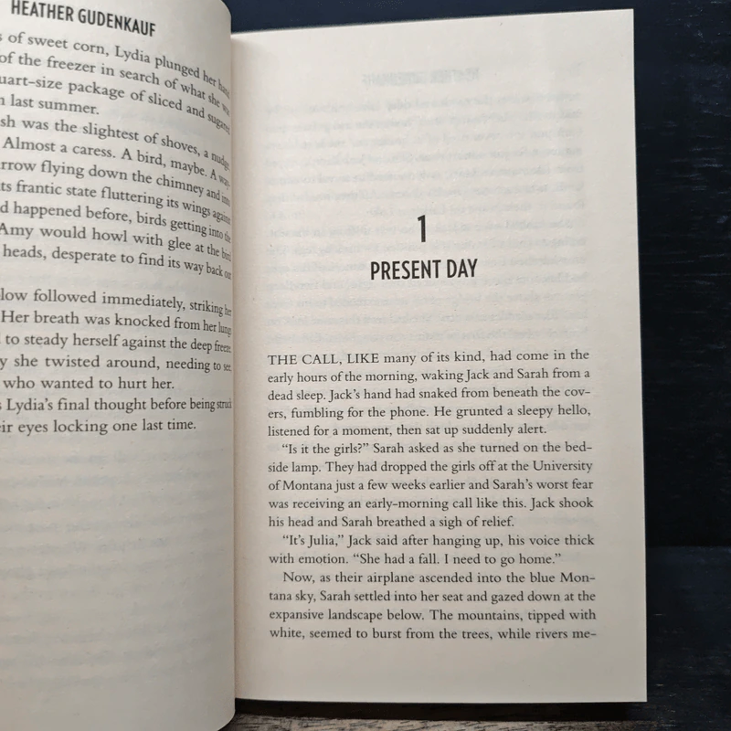 Missing Pieces - Heather Gudenkauf รูปที่ 8
