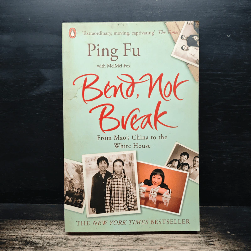 Bend, Not Break - Ping Fu รูปที่ 1