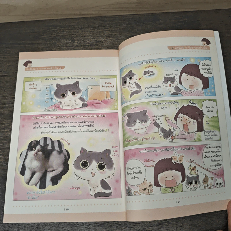 Cat Story เหมียวสุดฮาของเสี่ยวชี รูปที่ 9