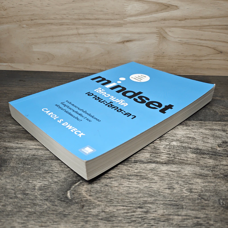 Mindset ใช้ความคิดเอาชนะโชคชะตา - Carol S.Dweck รูปที่ 3