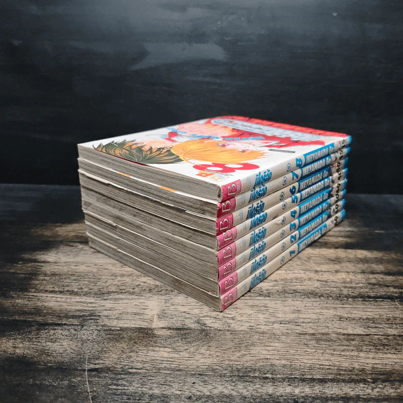 มิโดริจังกับเจ้าชายทั้งสิบเอ็ด เล่ม 1-8 รูปที่ 4