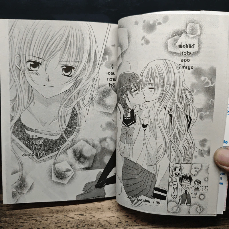 มิโดริจังกับเจ้าชายทั้งสิบเอ็ด เล่ม 1-8 รูปที่ 8