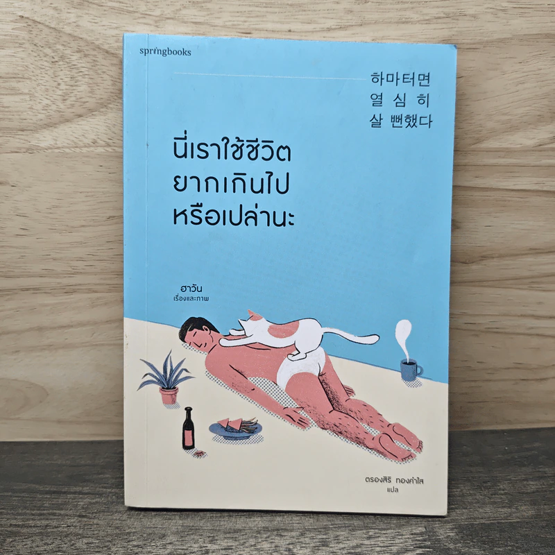 นี่เราใช้ชีวิตยากเกินไปหรือเปล่านะ - Ha Wan (ฮาวัน) รูปที่ 1