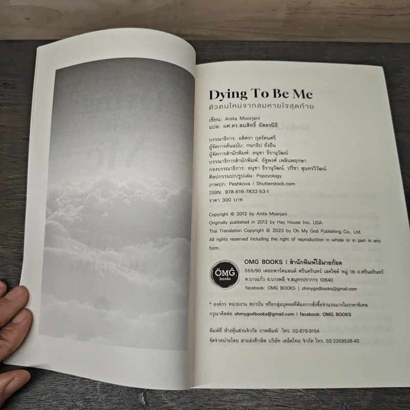 Dying to be Me ตัวตนใหม่จากลมหายใจสุดท้าย - Anita Moorjani รูปที่ 6