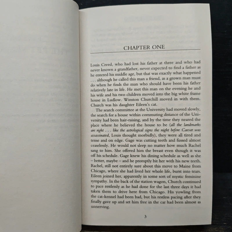 Pet Sematary - Stephen King รูปที่ 7