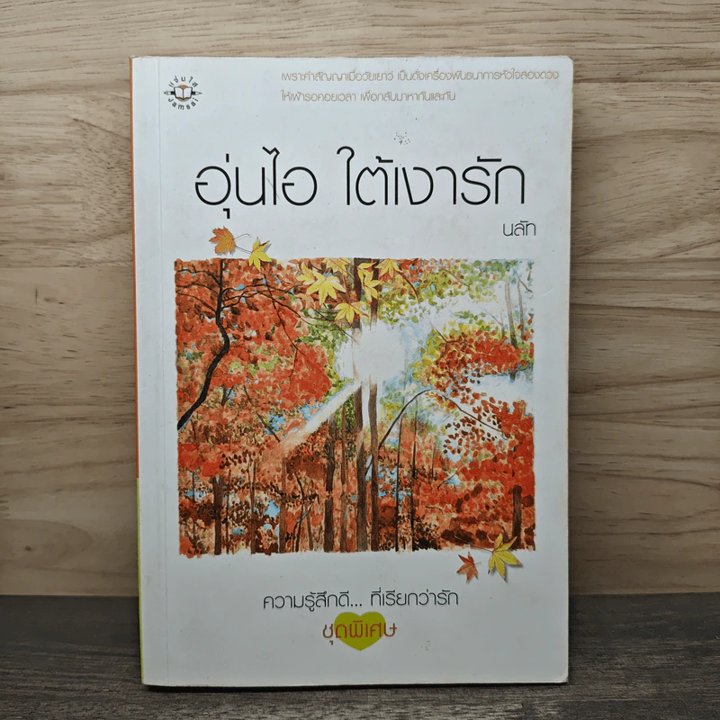 อุ่นไอ ใต้เงารัก - นลัท รูปที่ 1