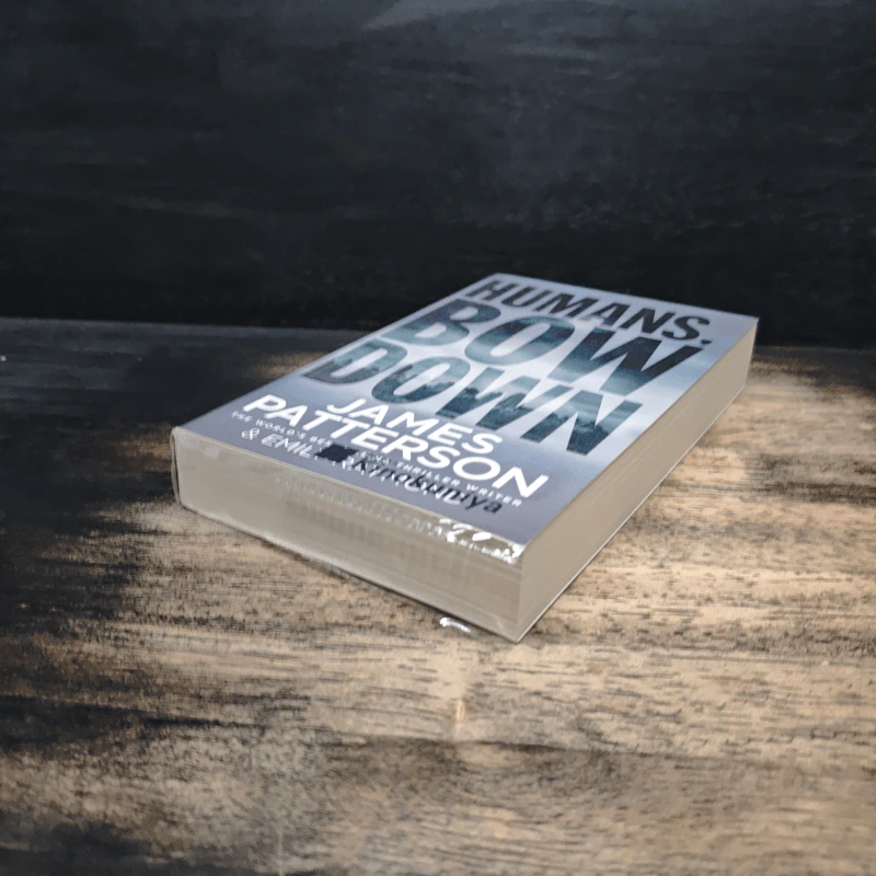 Humans, Bow Down - James Patterson, Emily Raymond รูปที่ 4