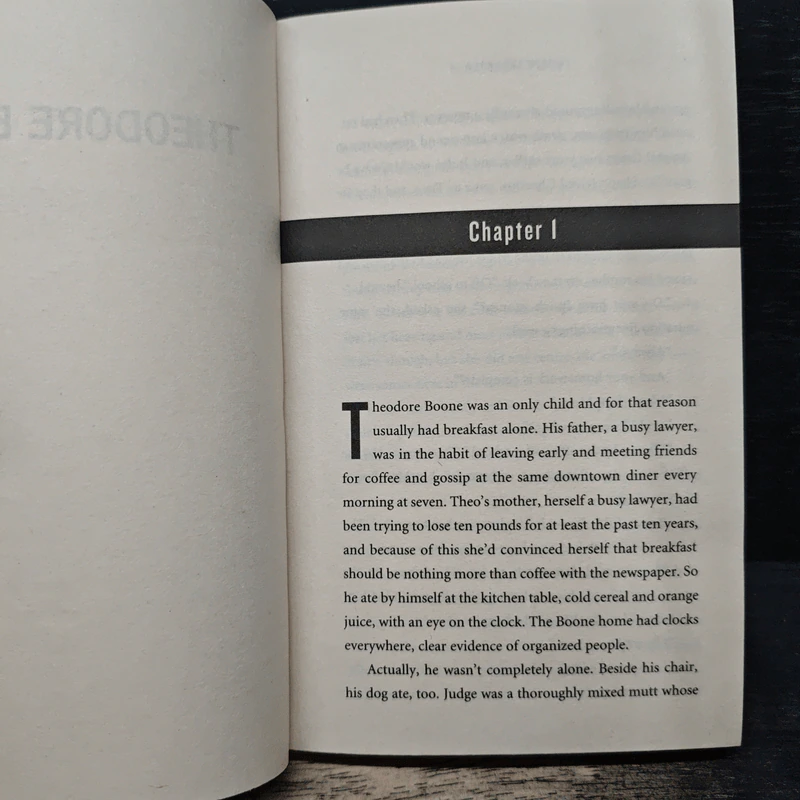 Theodore Boone - John Grisham รูปที่ 7