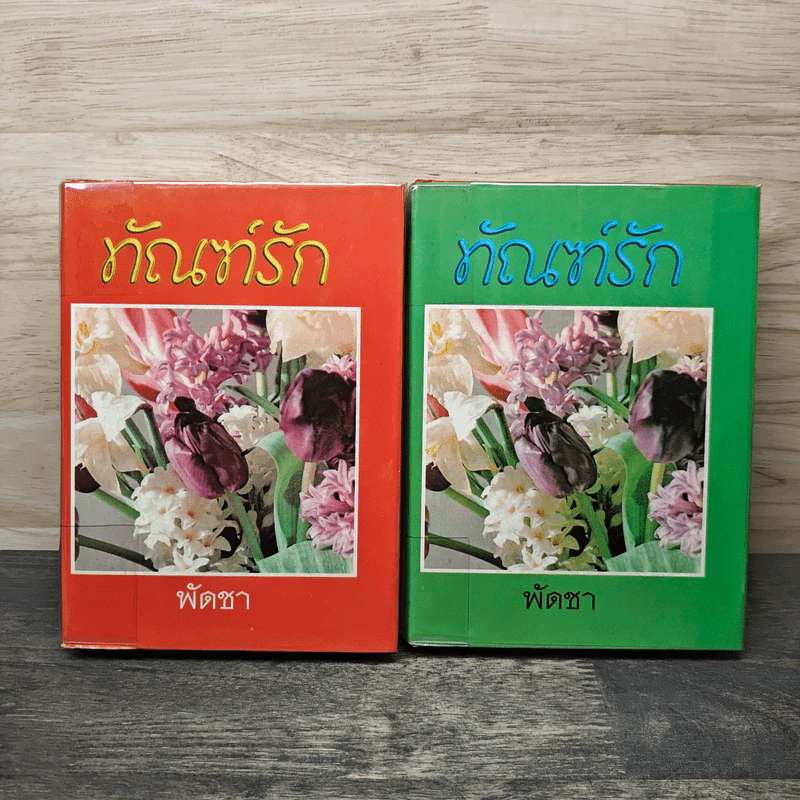 ทัณฑ์รัก 2 เล่มจบ - พัดชา รูปที่ 1