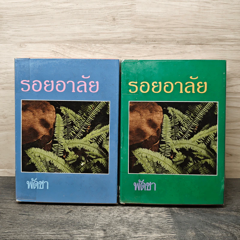 รอยอาลัย 2 เล่มจบ - พัดชา รูปที่ 1