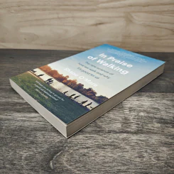In Praise of Walking - Shane O'Mara รูปที่ 3
