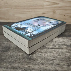 Frostbite ตอน มหัศจรรย์พลังจิต + Vampire Academy ตอน องครักษ์คืนชีพ - Richelle Mead, ลัคนา ดีลัคนทิน รูปที่ 4