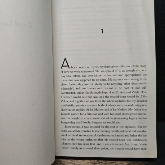 Dead Letters - Caite Dolan-Leach รูปที่ 7