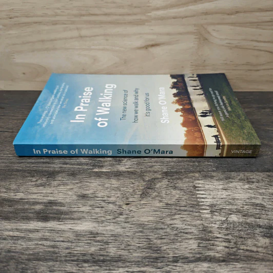 In Praise of Walking - Shane O'Mara รูปที่ 2