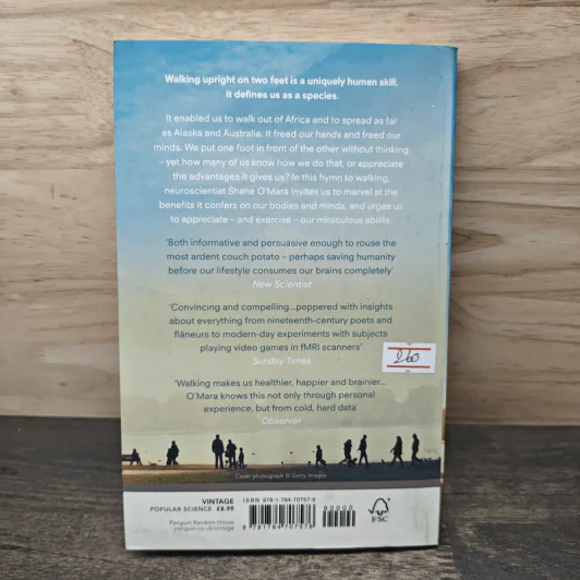 In Praise of Walking - Shane O'Mara รูปที่ 5