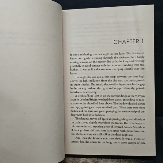 The Night Stalker - Robert Bryndza รูปที่ 7