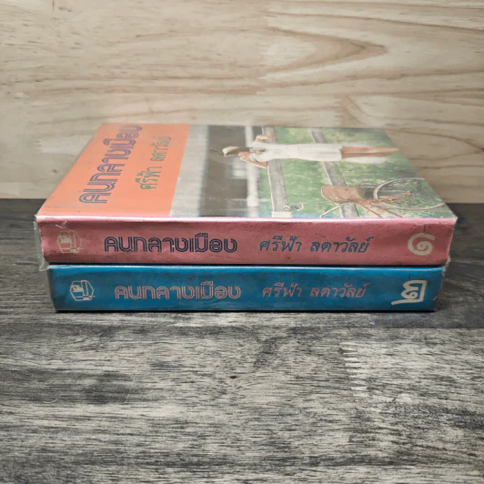 คนกลางเมือง 2 เล่มจบ - ศรีฟ้า ลดาวัลย์ รูปที่ 2