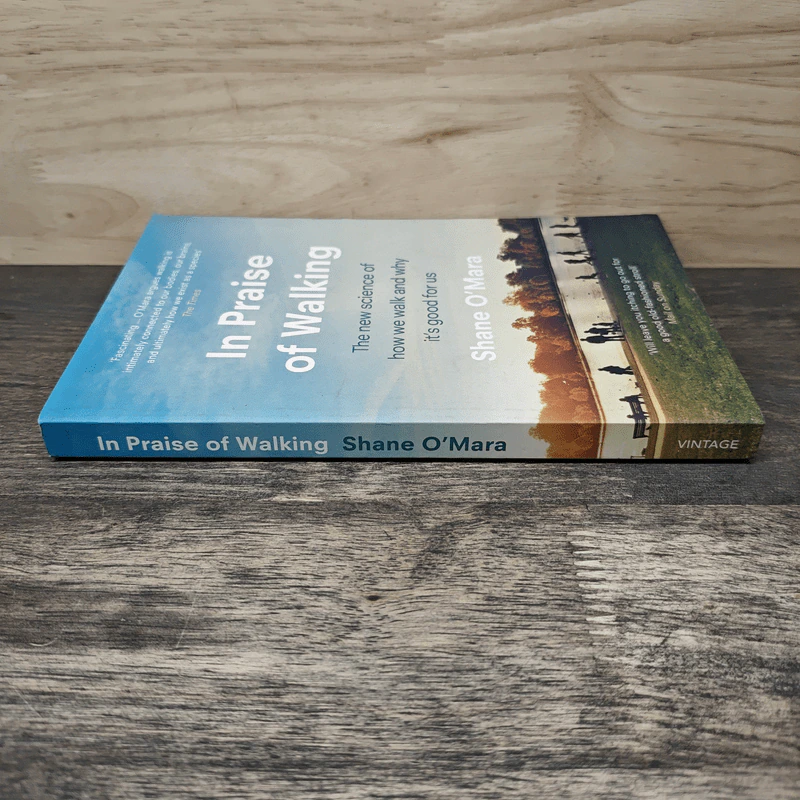 In Praise of Walking - Shane O'Mara รูปที่ 2