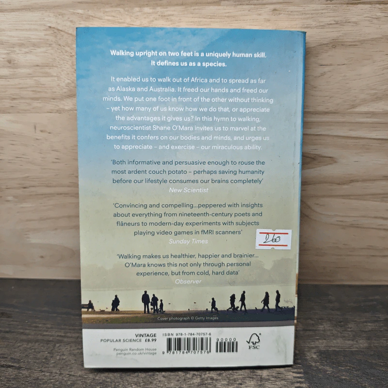 In Praise of Walking - Shane O'Mara รูปที่ 5