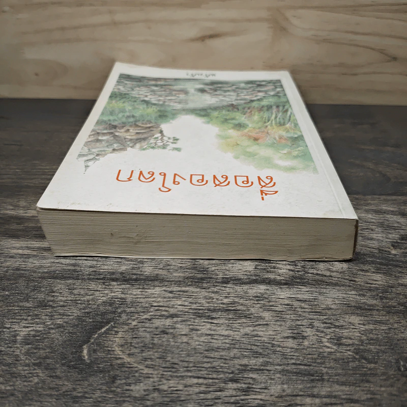 สื่อสองโลก - แก้วเก้า รูปที่ 4