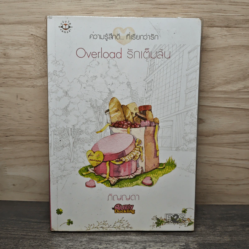 Overload รักเต็มล้น - ภิญญดา รูปที่ 1