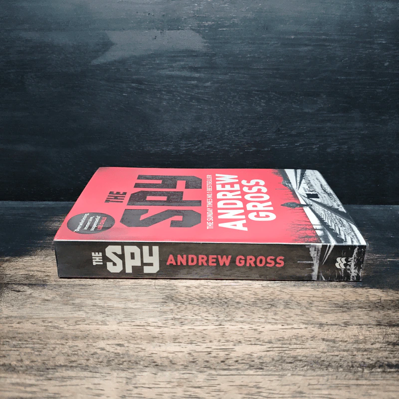 The Spy - Andrew Gross รูปที่ 3