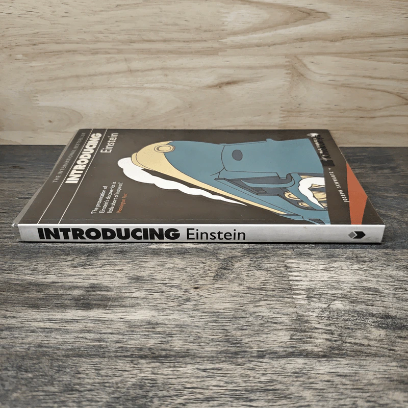 Introducing Einstein - Joseph Schwartz รูปที่ 2